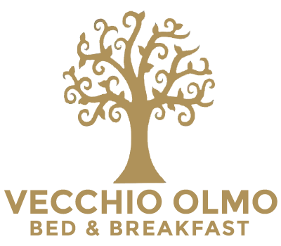 Vecchio Olmo - B&B